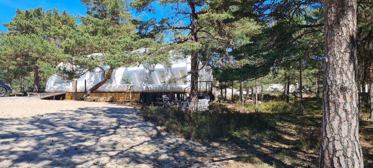 Na Wydmach. Spokoj. Cisza. Las Dookola Хель Экстерьер фото